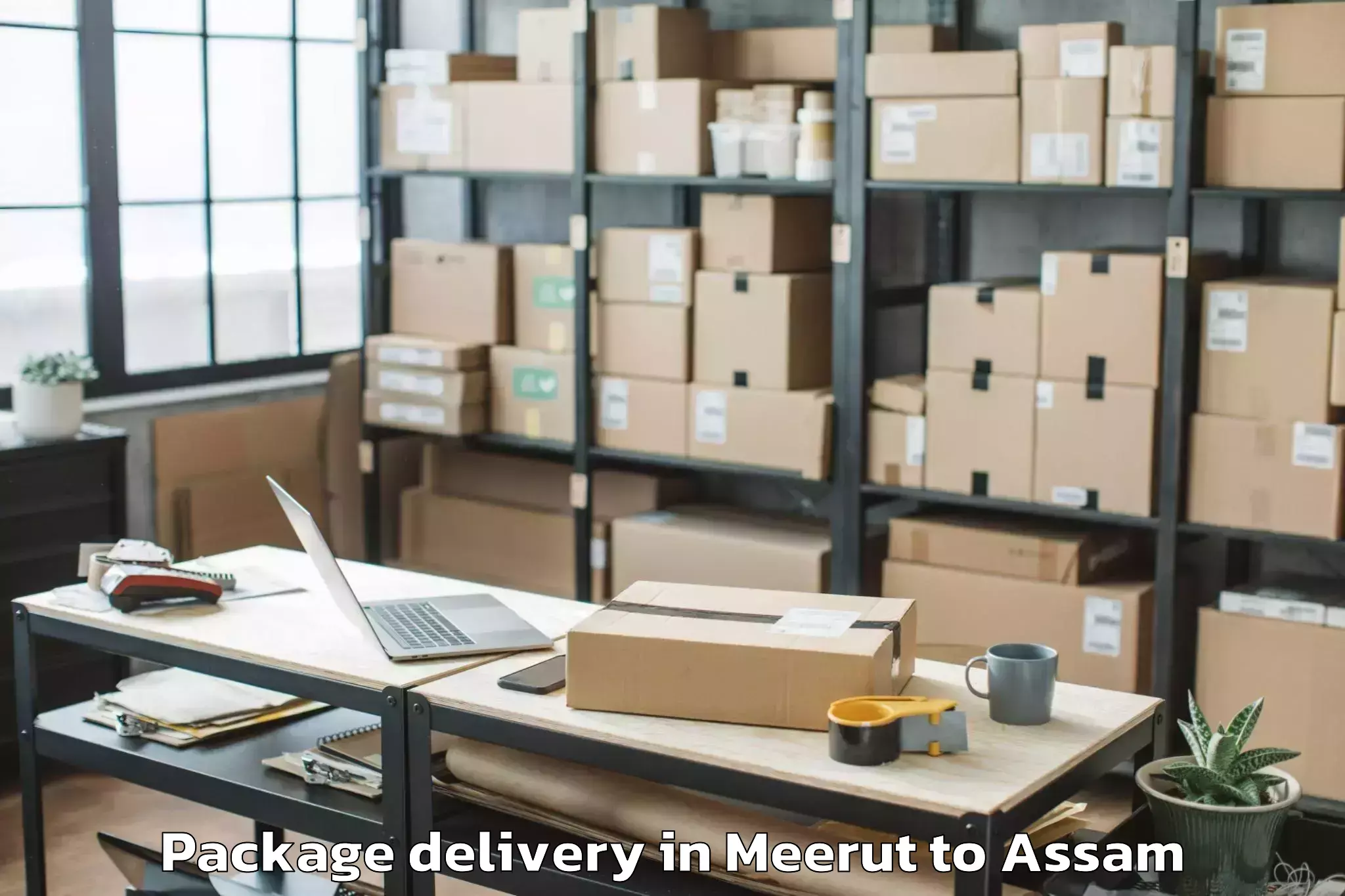 Professional Meerut to Dispur Package Delivery